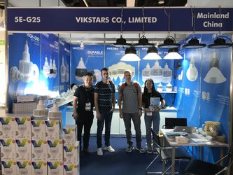 Vikstars Co., Limited производственная линия производителя