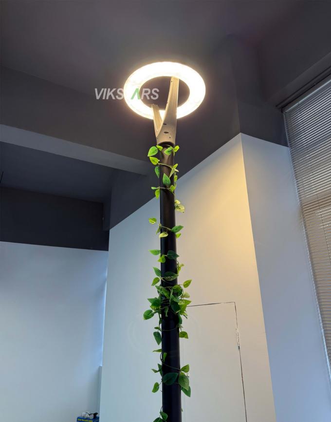 100 Вт Новые садовые фонари 2 года Гарантия 100 лм/вт Дешевая цена для оптовой продажи 10